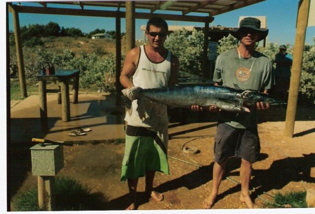 22kg wahoo